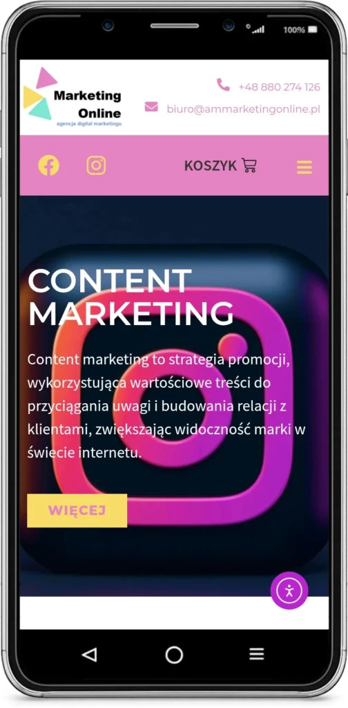 strona internetowa WordPress