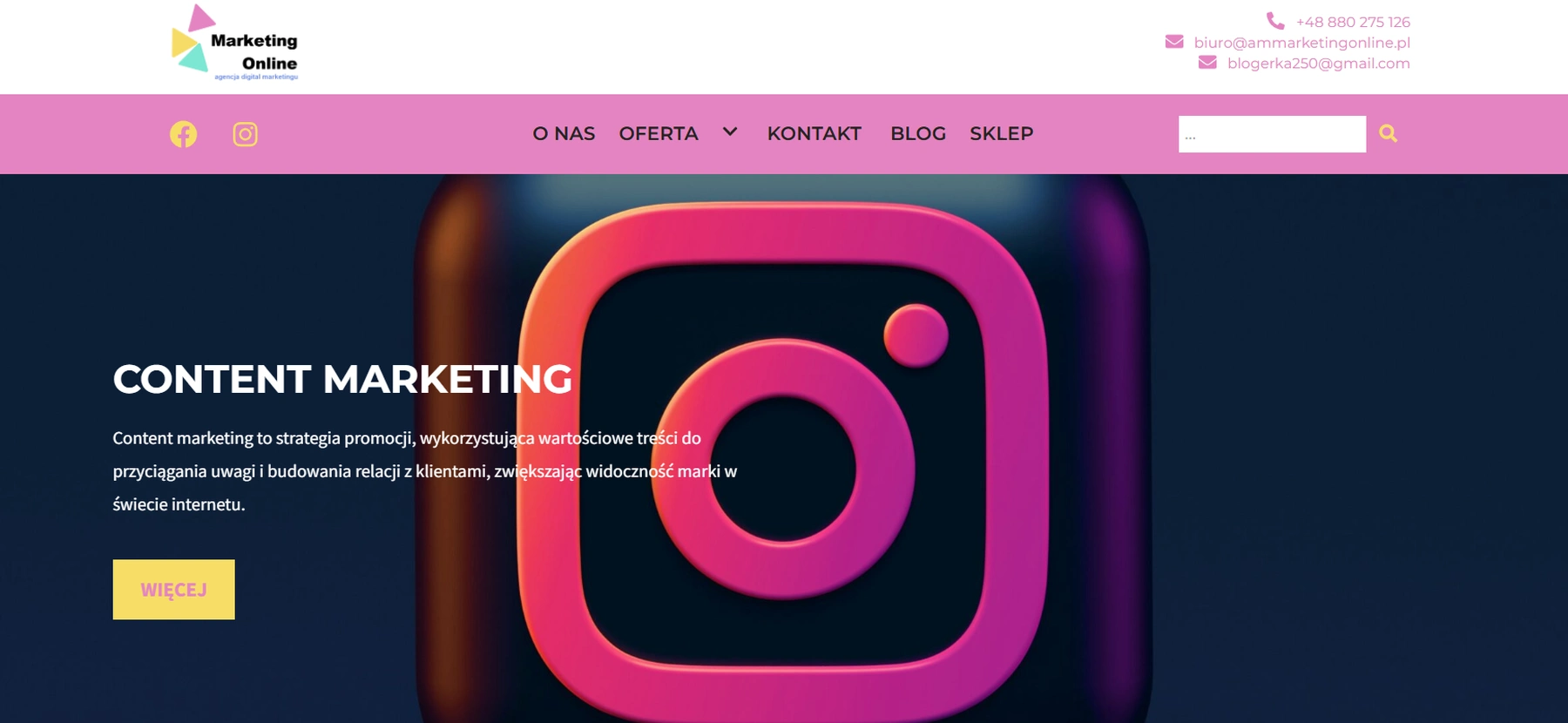 strona internetowa wordpress