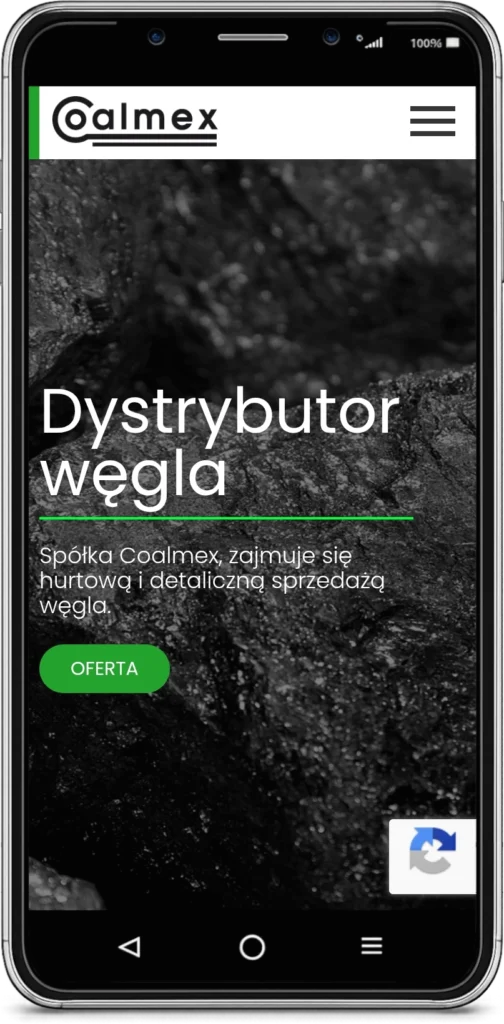 tworzenie stron internetowych