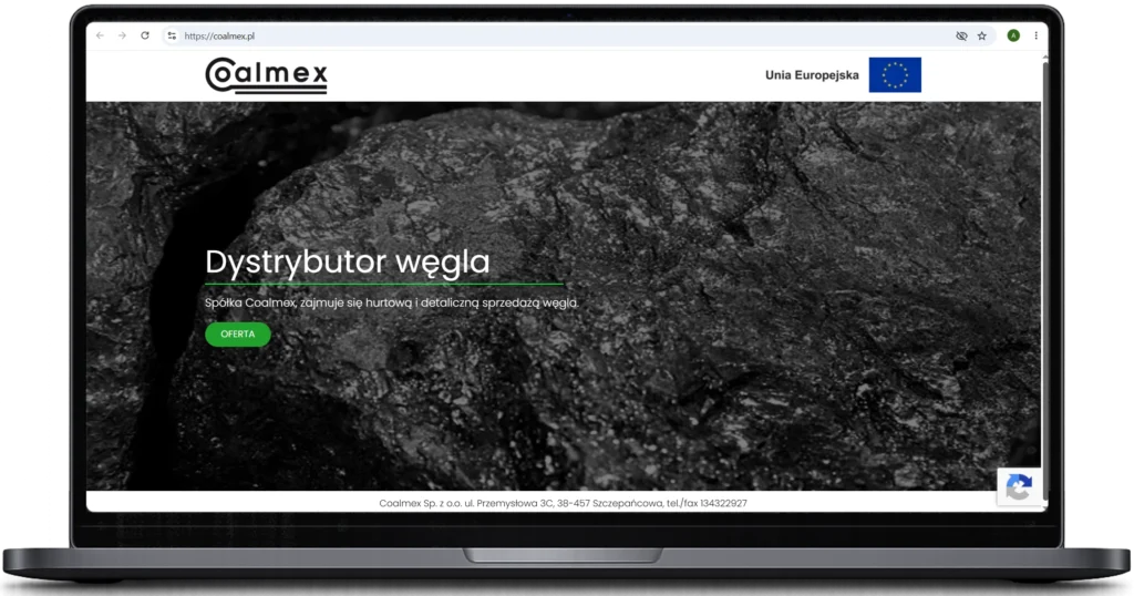 tworzenie stron internetowych