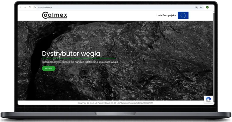 tworzenie stron internetowych