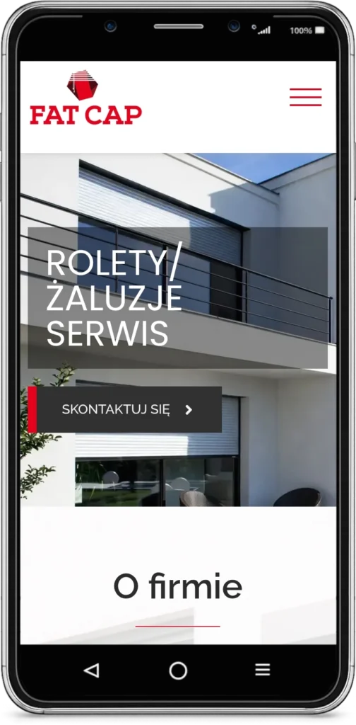 strona internetowa