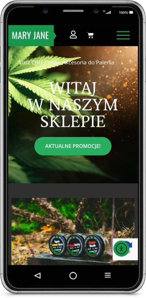 tworzenie sklepów interntowych
