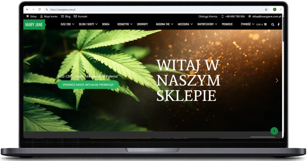 tworzenie sklepów interntowych
