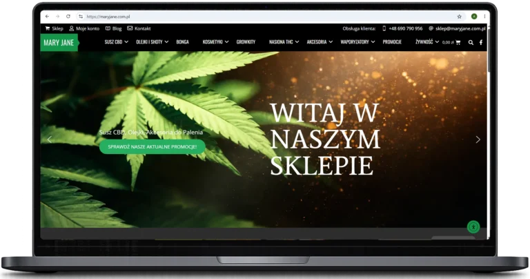 tworzenie sklepów interntowych